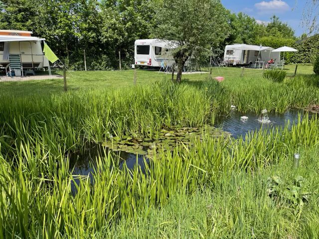 Omgeving Mini Camping Ons Stekske